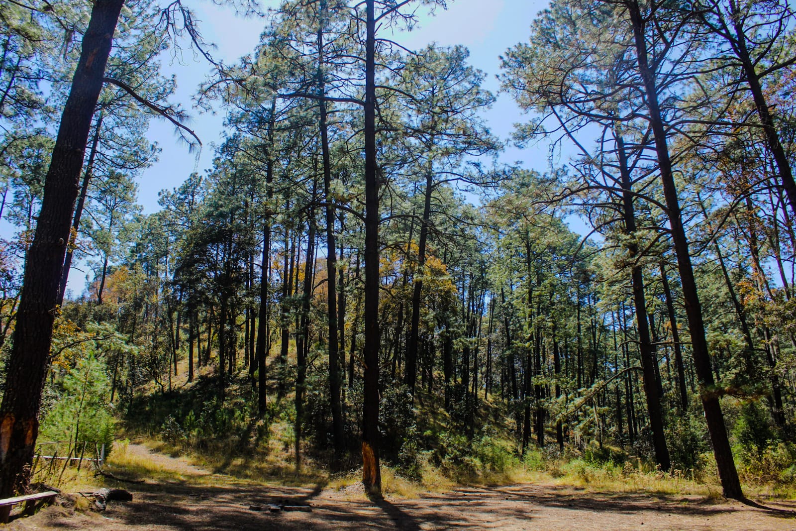 Rancho Huertas – foto 10