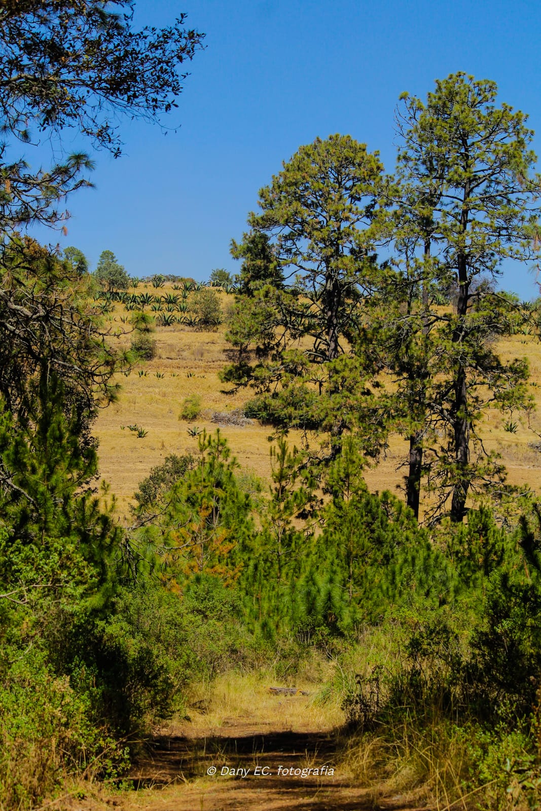 Rancho Huertas – foto 11