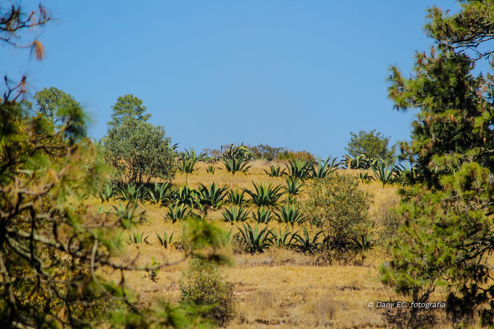 Rancho Huertas – foto 12