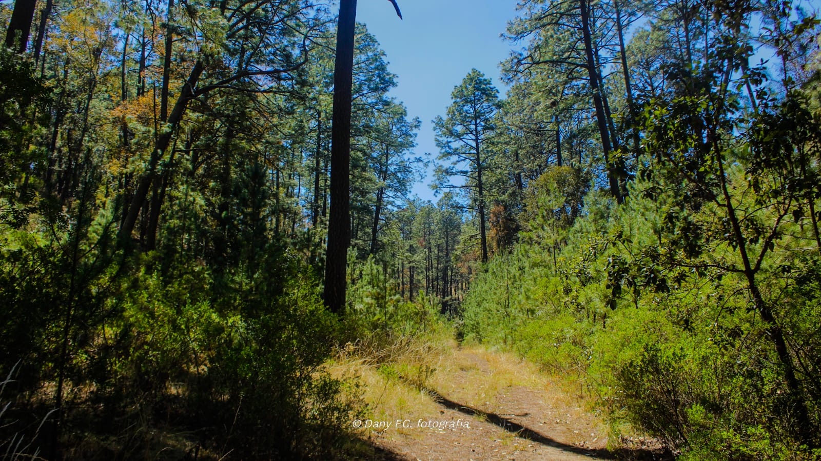 Rancho Huertas – foto 16