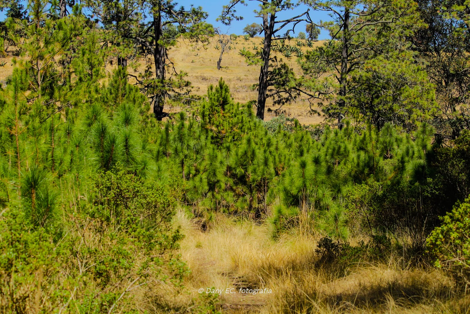 Rancho Huertas – foto 17