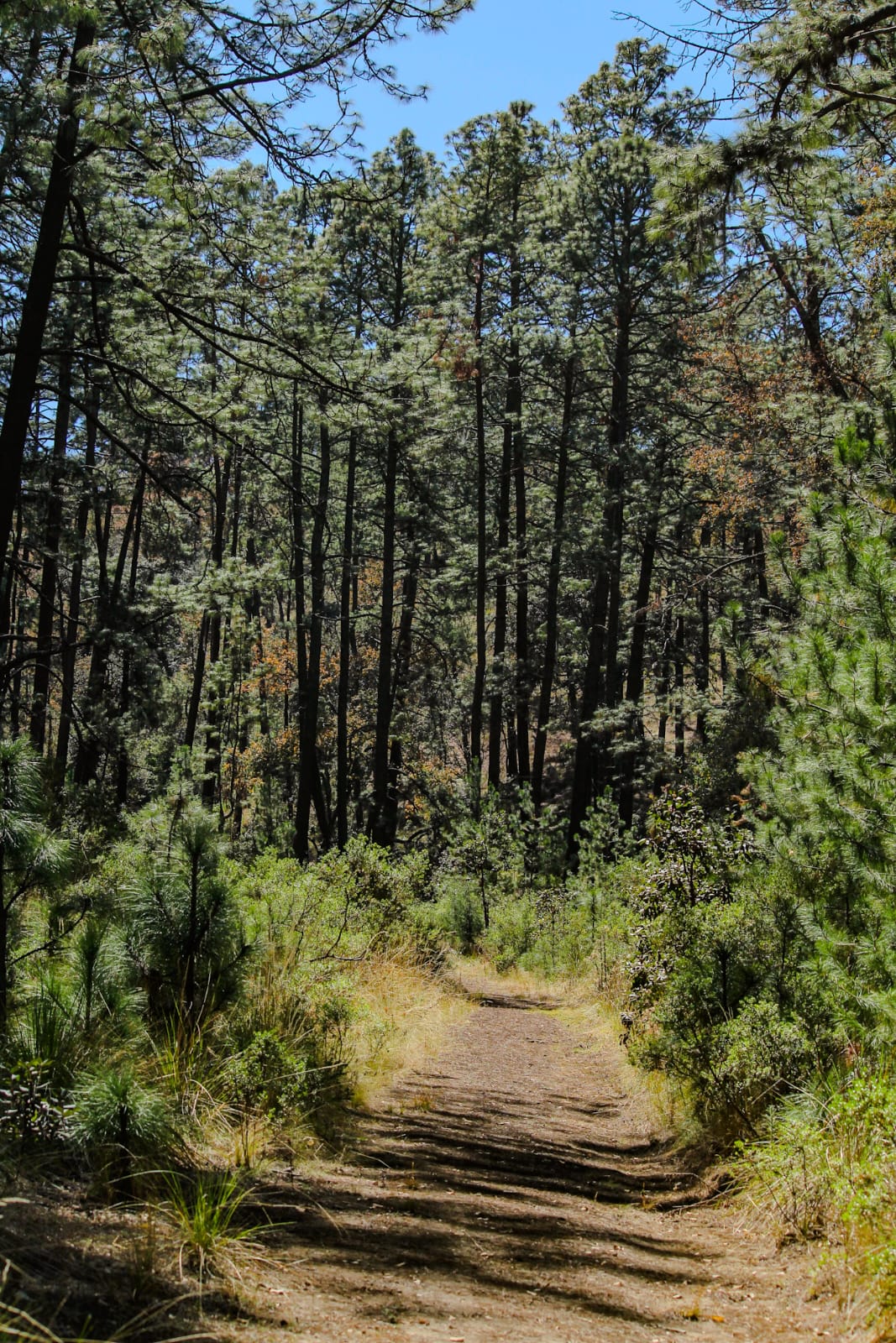 Rancho Huertas – foto 20