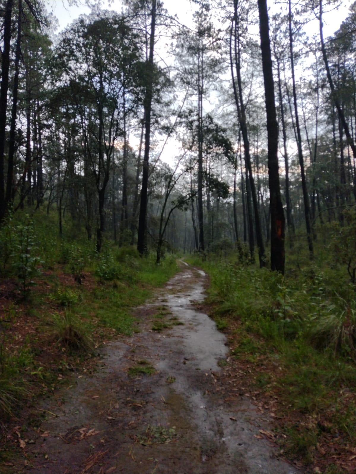Rancho Huertas – foto 21