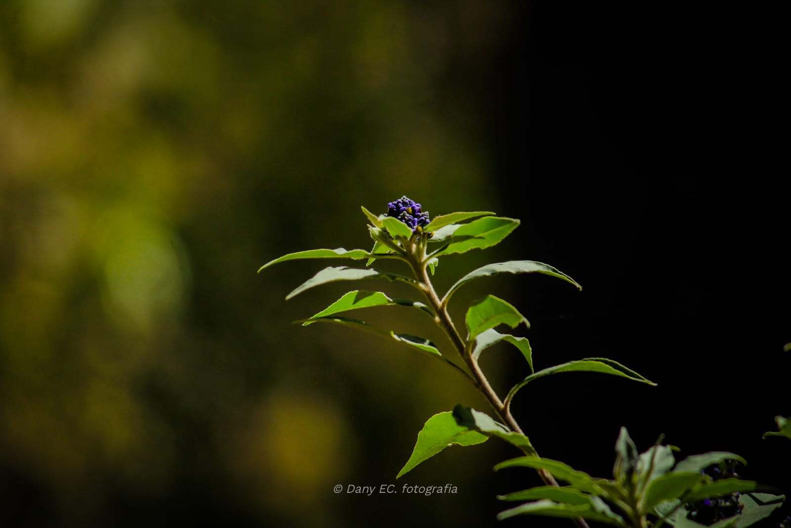 Rancho Huertas – foto 7