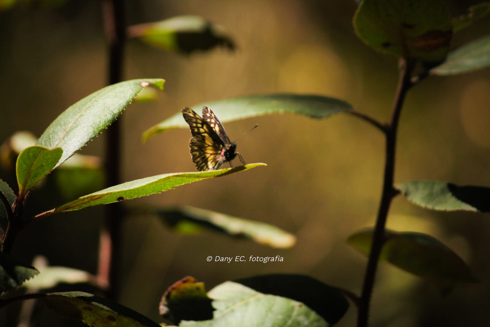 Rancho Huertas – foto 8