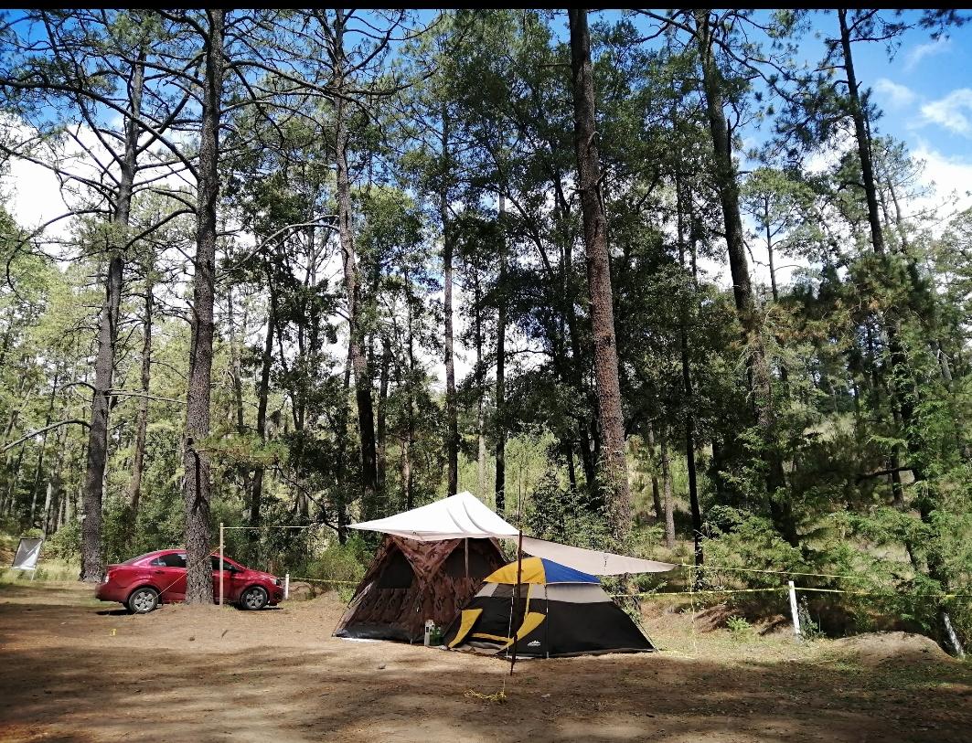 Zona de Camping